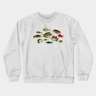 So Many Fish Blue #2 - Marine Biology Vintage Print Crewneck Sweatshirt